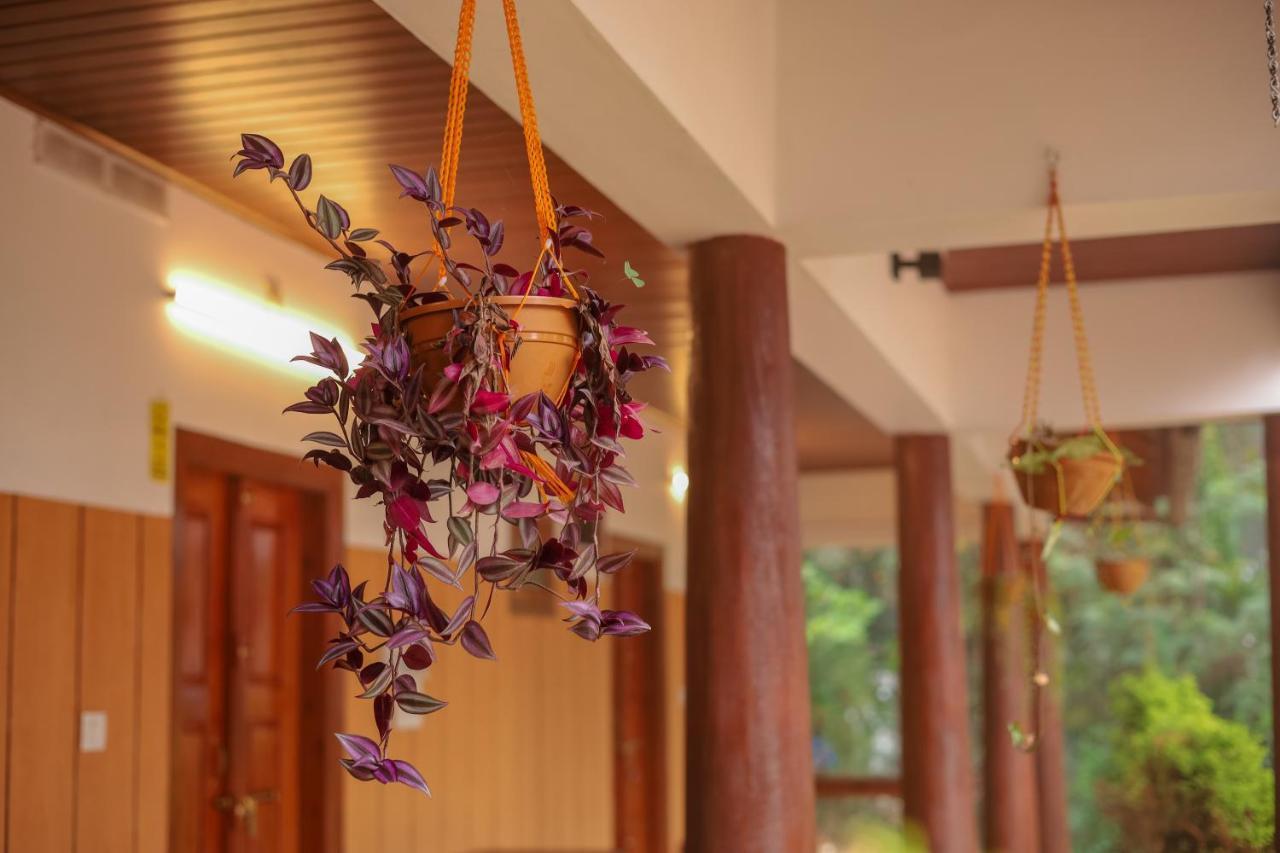 Swastha Plantation Homestay Kaniyāmbetta Dış mekan fotoğraf