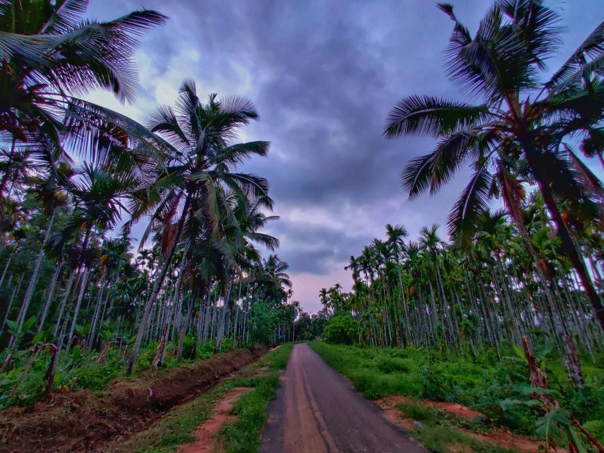 Swastha Plantation Homestay Kaniyāmbetta Dış mekan fotoğraf