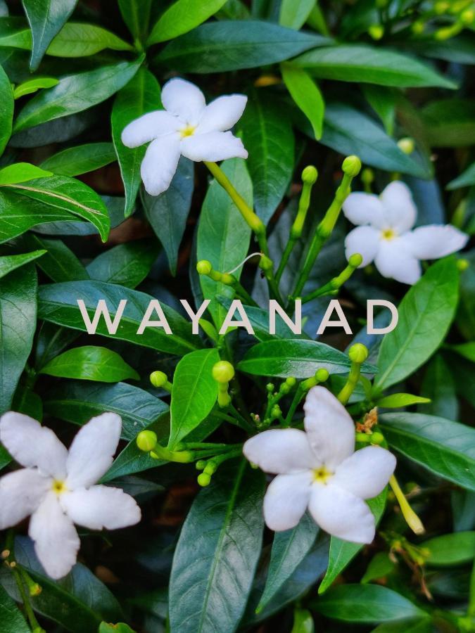 Swastha Plantation Homestay Kaniyāmbetta Dış mekan fotoğraf